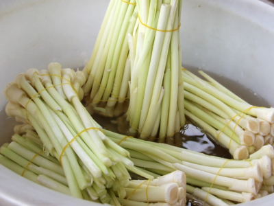 Mua bồn bồn chất lượng tại Ngó sen Hưng Thịnh