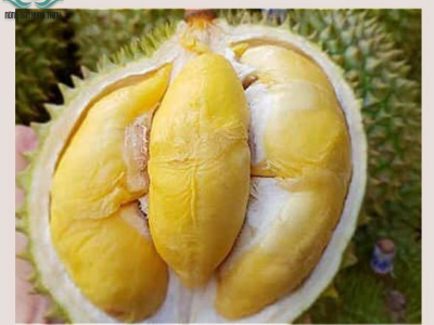 Hưng Thịnh - Địa chỉ mua sầu riêng uy tín