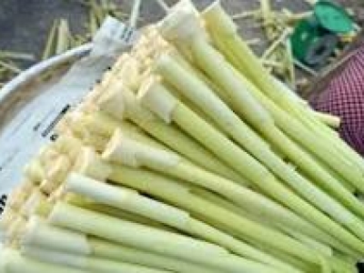 Khám phá Ngó Bồn Bồn - Đặc sản của Vùng Miền Tây Nam Bộ