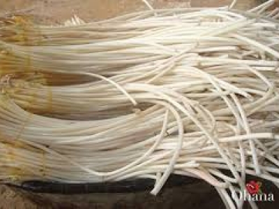 Giá Ngó Sen Trắng Ngần Chỉ Có 18k