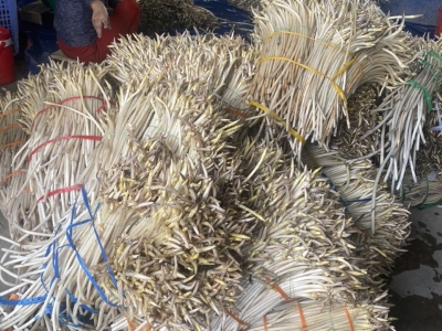 Trồng sen giúp người dân tăng thu nhập